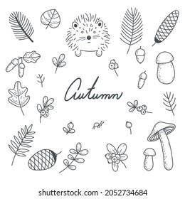 Vector autumn elements. A hedgehog, an ant, mushrooms, wild berries, acorns, autumn leaves and branches. Grey doodle. Suitable for cards,  invitations, paper and others