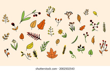 Elementos de otoño vectores. Hojas, flores aisladas de fondo blanco. Perfecto para las vacaciones de temporada, Día de Acción de Gracias