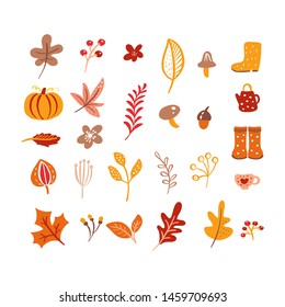 Vector autumn elements. Mushroom, acorn, maple leaves and pumpkin isolated on white background. Perfect for seasonal holidays, Thanksgiving Day