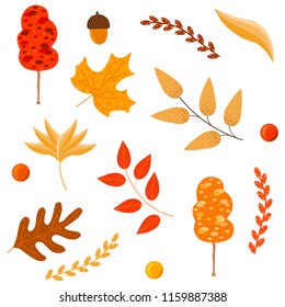 Vector autumn elements on. Illustration for decoration, texture, texture, gifts, paper, shop.