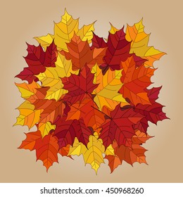 Vector autumn fallen leaves.