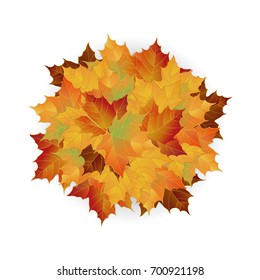 Vector autumn fallen leaves. Leafs element floral color garden art. Pile of leaves. Maple autumn leaves