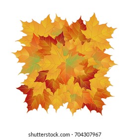 Vector autumn fallen leaves. Leafs element floral color garden art. Pile of leaves. Maple autumn leaves