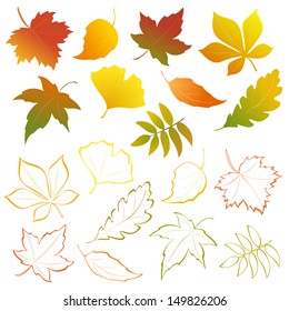 Vector autumn falling leaves - design elements