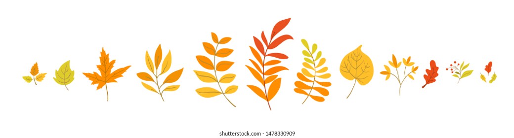 Vector autumn foliage elements in hand drawn style - aspen, oak, maple leaves and plants isolated on white background. Perfect for your design. Floral botany set.