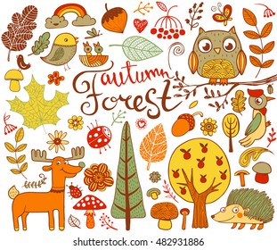 Vector autumn forest design elements in doodle style, hand-drawn animals and insects, trees and plants