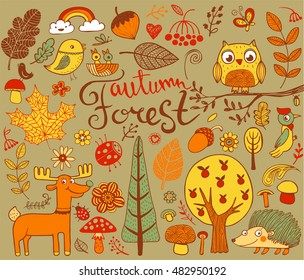 Vector autumn forest design elements in doodle style, hand-drawn animals and insects, trees and plants