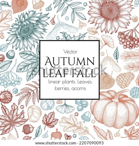 Vector autumn frame in engraving style. Maple leaf, chestnut, rowan, fallen leaves, acorns, physalis, maple seeds, sunflower, pumpkin, ginkgo, spruce, cones