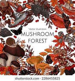 Herbstrahmen mit Pilzen, Pflanzen, Insekten, Beeren. Fliegenagar, Chanterelles, weißer Pilz, Honig agarius, Boletus, Morel, Berostung, Schnecke, Erdbeere, Farn, Schmetterlinge