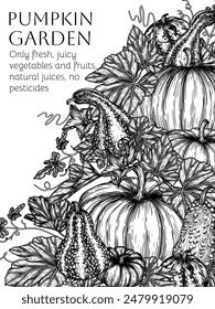 Vector autumn frame pumpkin garden in engraving style	
