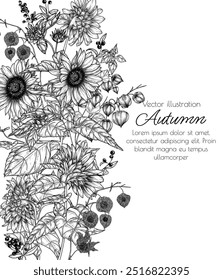 Vector autumn frame with sunflowers, physalis and berries in engraving style