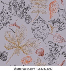 Vector autumn hand drawing seamless pattern with horse chestnut, hawthorn, rose hip, Rowan leaves outline on the grey background. Fall line art of foliage in different color. stock illustration