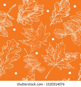 Dibujo manual vectorial de otoño sin fisuras con el árbol de arce blanco, cadera rosa, hojas de roble, contorno en el fondo naranja. Dibujo follaje en color blanco. ilustración de existencias