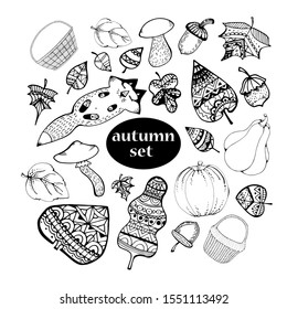 Vector autumn hand drawn set of mushroom, leaf, nut, pumpkin, hazelnut, acorn. Vector engraved objects. Detailed botanical illustrations. cute illustrations for postcards, baby bedding, for books with