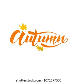 Vector autumn handwriting lettering for design menu, cards, banners and poster. EPS10