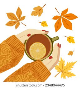 Vector autumn illustration of female hands in a sweater holding a hot cup of tea with lemons. The concept of autumn mood, comfort, warmth. Image for print, postcard, banner.