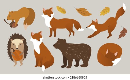 vector autumn illustration in flat style. set of various forest animals - fox, hedgehog, squirrel, bear and autumn foliage