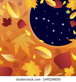 Vector autumn illustration with leaves and stars. Beautiful background with warm colors and Ursa Major constellation