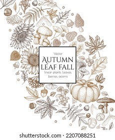 Vector autumn illustration. Maple leaf, chestnut, rowan, fallen leaves, acorns, physalis, maple seeds, sunflower, pumpkin, ginkgo, fly agaric, chanterelles, porcini mushroom, mushrooms