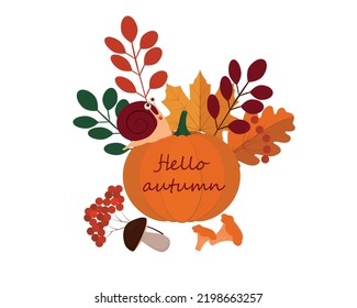 Vector autumn illustration. Pumpkin, oak leaf, snail,rowan, mushrooms, chanterelle, maple , leaves. Hello autumn