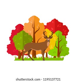 Vector autumn landscape. Deer in the autumn forest.