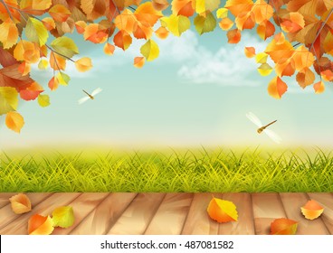 Vector autumn landscape with grass, dragonflies, tree branches, textured wooden floor