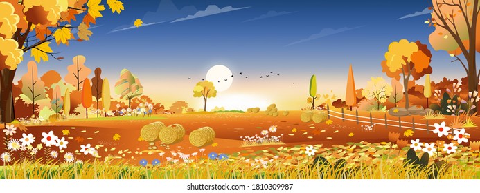 Vector Autumn Landscape At Harvest Farm Field With Orange And Blue Sky,Beautiful Sunset In Mid Autumn In Countryside,Panorama View With Yellow And Orange Foliage, Banner Background For Fall Season