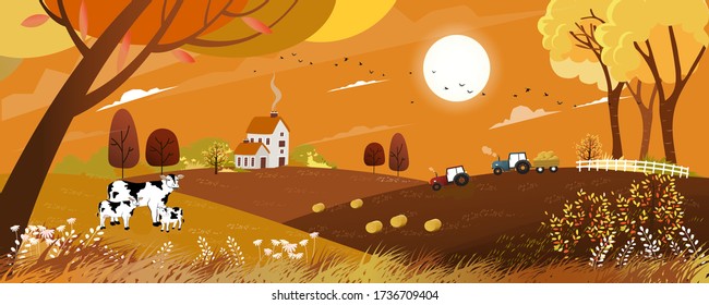 Vector Autumn landscape with sunrise view on harvest field with tractor, framhous,cows and straw bales in the countryside,Panorama view farmlands in fall season with orange foliage,Mid autumn festival