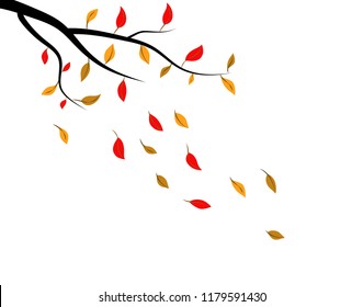 Vector of Autumn leaf