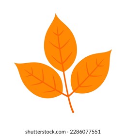 Vector autumn leaf fall plant icon