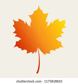 Vector autumn leaf in gradient color