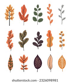 Vector autumn leaf, linear drawn leaves, illustration of cartoon decor for presentation. Isolated elements of branches on the background. Garden set in doodle style. Composition of creative plant