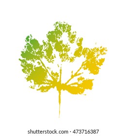 Vector autumn leafs design set