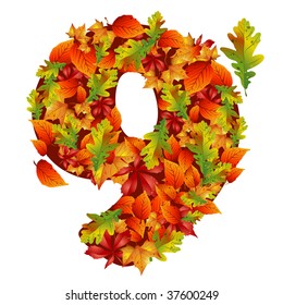 vector autumn leaver number 9