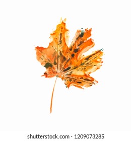 Vector autumn leaves