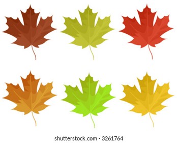 Vector autumn leaves