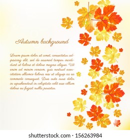 Vector autumn leaves background.
