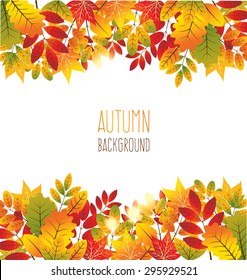 Vector autumn leaves background