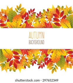 Vector autumn leaves background