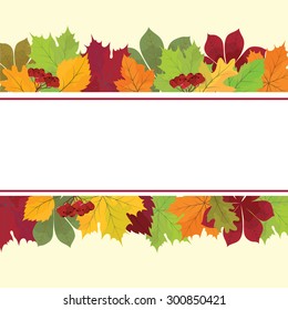 Vector autumn leaves background