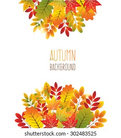 Vector autumn leaves background