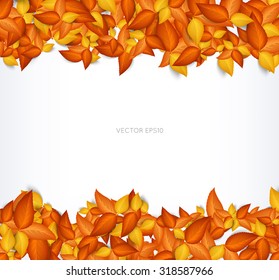 Vector autumn leaves background