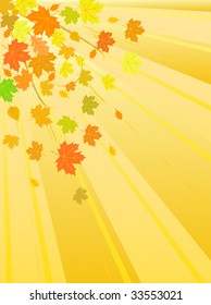 vector autumn leaves background