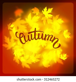 Vector autumn leaves background design, unfocused blurred red maple leaves backdrop illustration