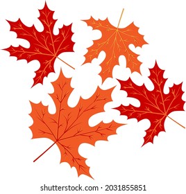 Vector autumn leaves. Beautiful leaves in different shades.