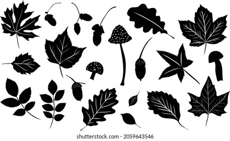 vector of the autumn leaves bundle