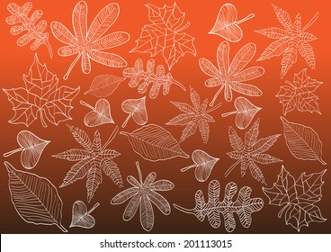 vector autumn leaves chalk sketch