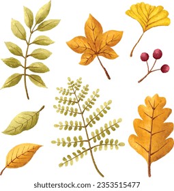 hojas de otoño vectoriales clipart para la decoración temática del otoño