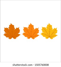 vector of autumn leaves from dark brown to young. good for sweetener graphic design autumn theme