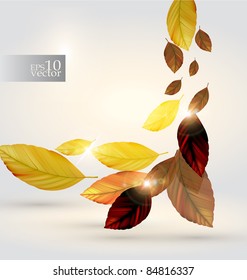 Vector autumn leaves design